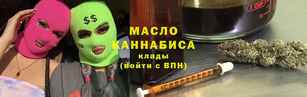 индика Бронницы