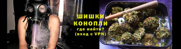 индика Бронницы